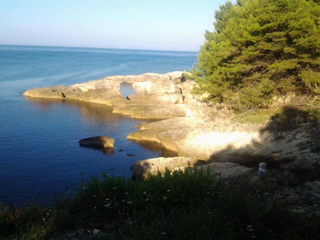 Guest House Aldin Ulcinj Extérieur photo